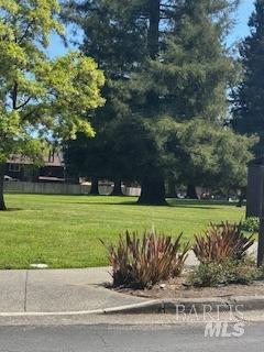 view of home's community with a yard