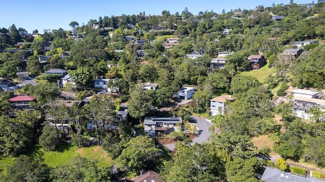 5 Oak Springs Dr, San Anselmo, CA 94960 - birds eye view of property