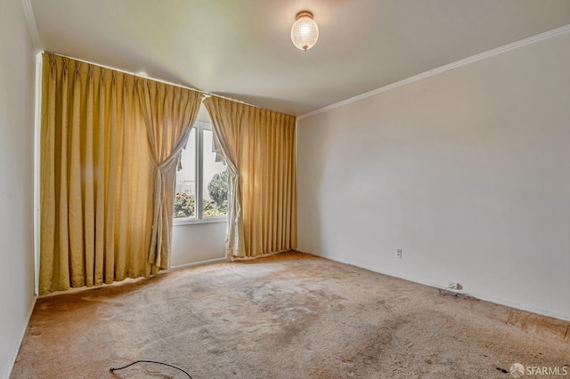 empty room with ornamental molding and carpet flooring