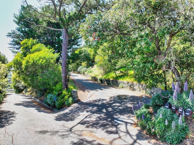 2307 Spanish Trail Rd, Tiburon, CA 94920 - view of road