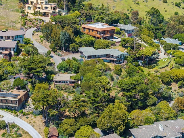 2307 Spanish Trail Rd, Tiburon, CA 94920 - drone / aerial view