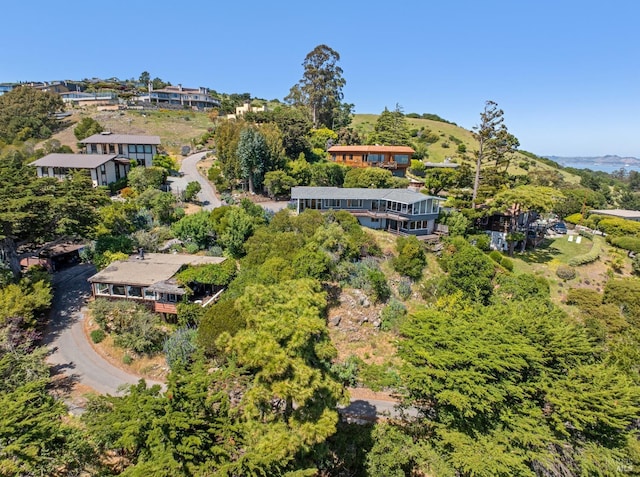 2307 Spanish Trail Rd, Tiburon, CA 94920 - bird's eye view