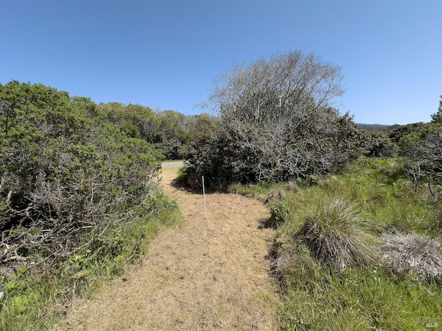 35412 Sea Gate Rd, The Sea Ranch, CA 95497