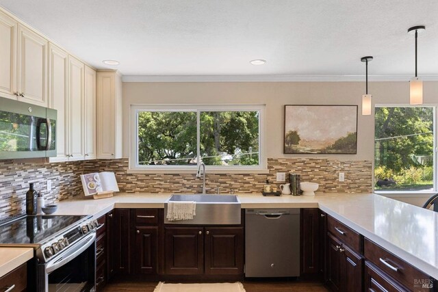 kitchen with light countertops, a sink, dark brown cabinetry, and stainless steel appliances