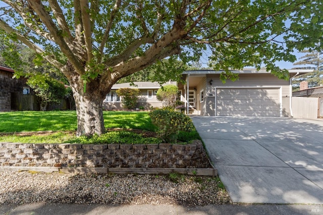 28 Washington St, Novato, CA 94947 - view of property hidden behind natural elements with an attached garage and concrete driveway
