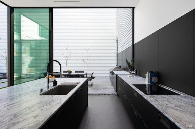 kitchen featuring dark cabinetry, plenty of natural light, a sink, and modern cabinets