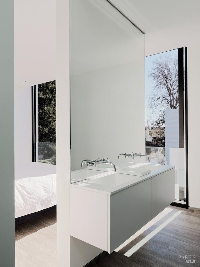 clothes washing area with wood finished floors and a wealth of natural light