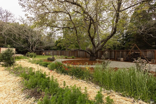 view of yard with a fenced backyard