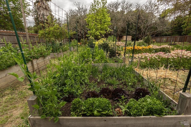 view of yard featuring fence and a vegetable garden