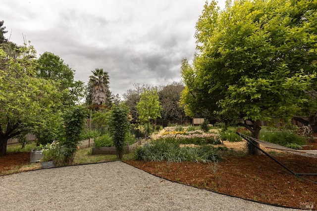 exterior space with a garden