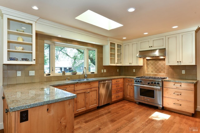 kitchen with a skylight, light stone countertops, a sink, under cabinet range hood, and stainless steel appliances