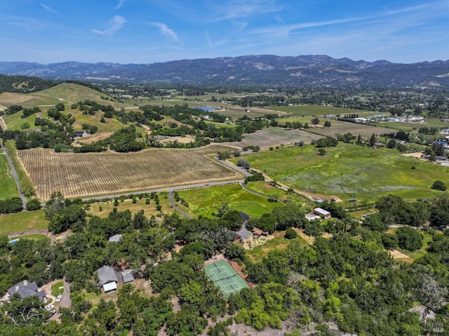 bird's eye view with a rural view and a mountain view