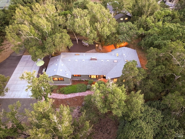 aerial view