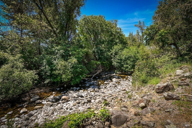 view of local wilderness