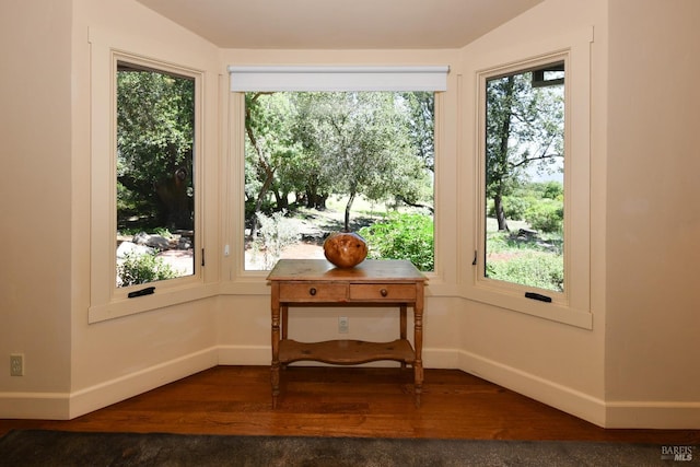 entryway featuring baseboards, plenty of natural light, and wood finished floors