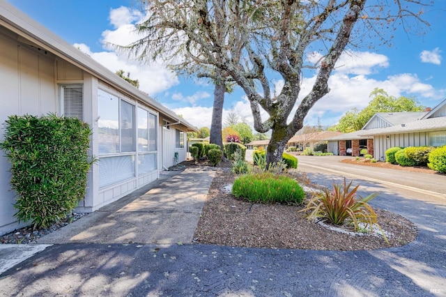 4 Valley Green St, Santa Rosa, CA 95409 - view of yard