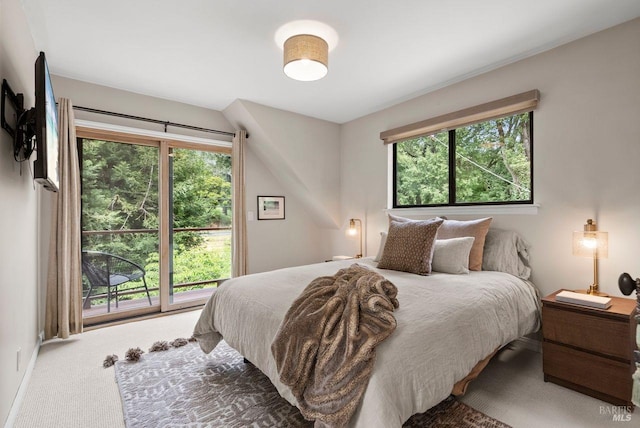 269 Castro St, Lagunitas, CA 94938 - view of carpeted bedroom
