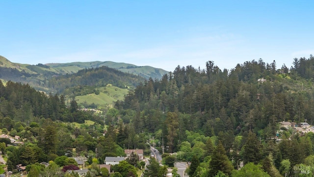 269 Castro St, Lagunitas, CA 94938 - property view of mountains with a view of trees