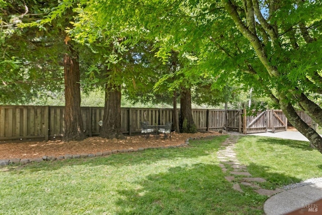 269 Castro St, Lagunitas, CA 94938 - view of yard with a fenced backyard