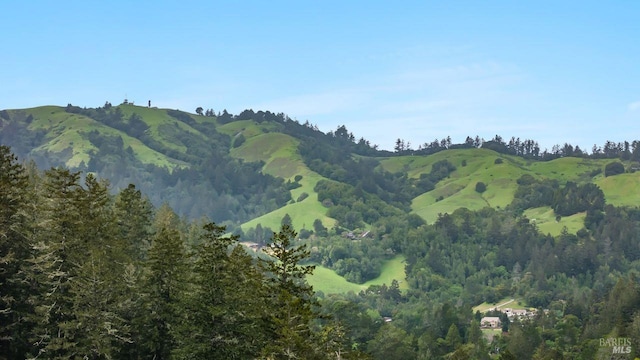 269 Castro St, Lagunitas, CA 94938 - property view of mountains with a wooded view