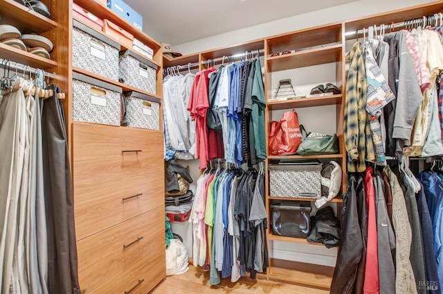 view of walk in closet