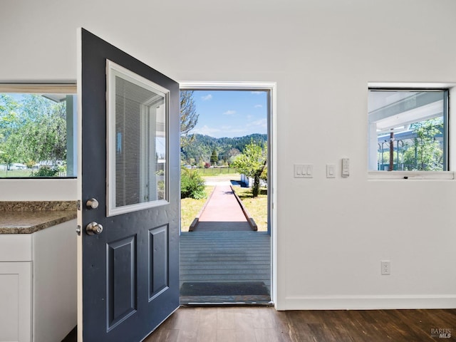entryway with baseboards, dark wood-style floors, and a mountain view