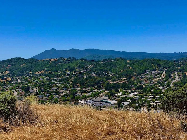 view of mountain feature
