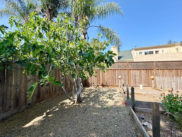 2984 First St, Napa, CA 94558 - view of fenced backyard