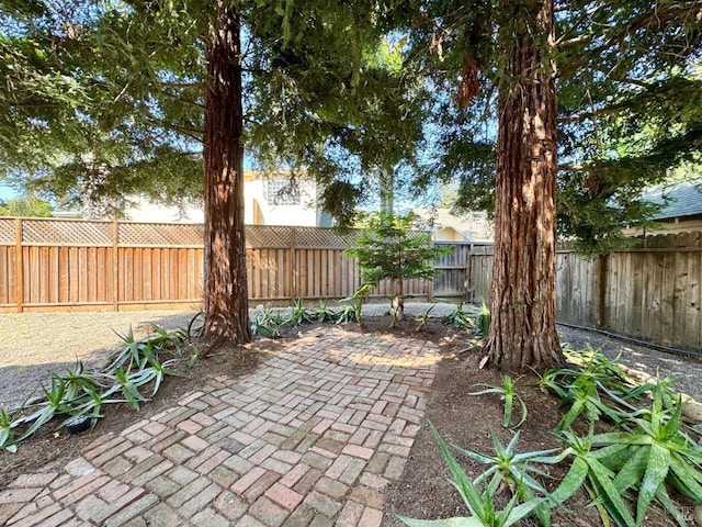 2984 First St, Napa, CA 94558 - view of patio / terrace with a fenced backyard
