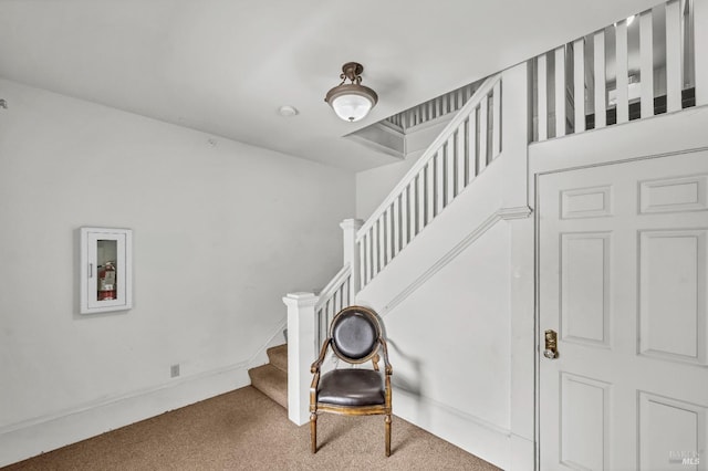 stairs featuring carpet flooring
