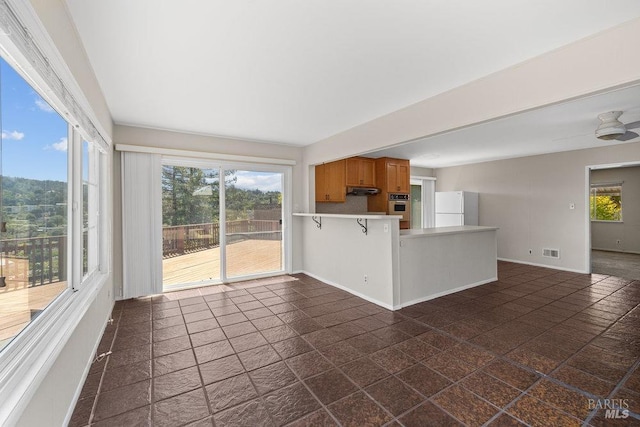 interior space with visible vents, baseboards, and a wealth of natural light