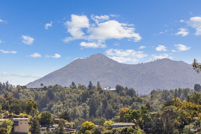 view of mountain feature featuring a forest view
