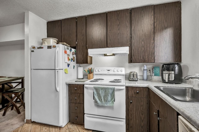 kitchen featuring dark brown cabinetry, a sink, white appliances, light countertops, and under cabinet range hood