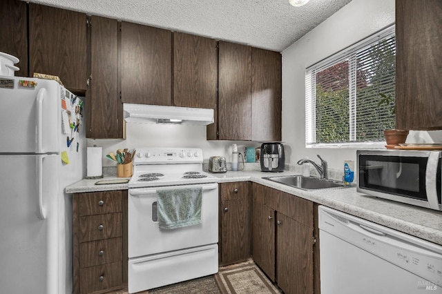 kitchen with white appliances, light countertops, a textured ceiling, under cabinet range hood, and a sink