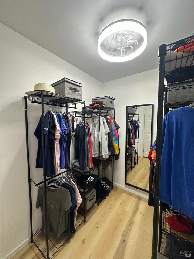 spacious closet featuring wood finished floors