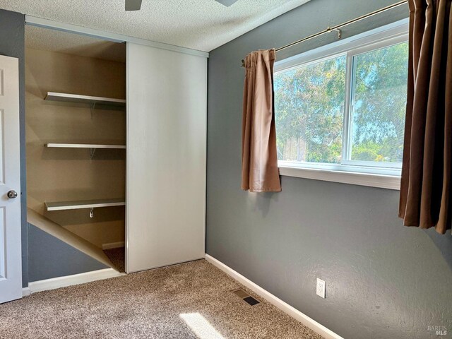 interior space with carpet floors, baseboards, a textured ceiling, and visible vents
