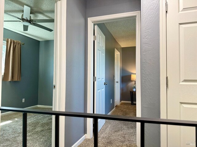 hallway with baseboards, carpet flooring, a textured ceiling, and a textured wall