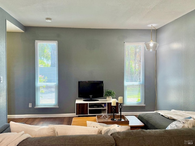 living area with baseboards, plenty of natural light, and wood finished floors