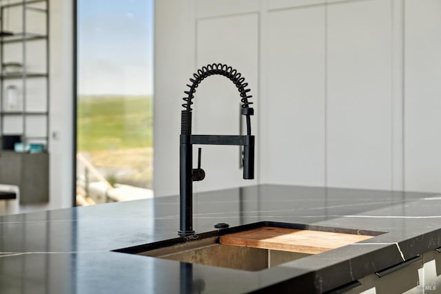 room details with a sink