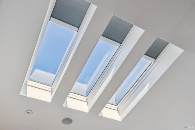 room details with a skylight
