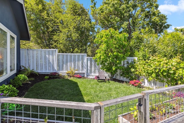 view of yard with a fenced backyard