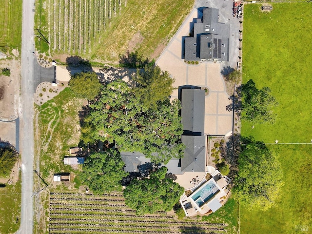 drone / aerial view
