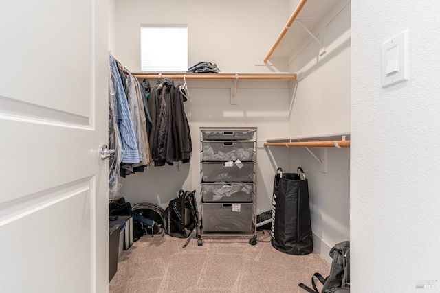 spacious closet featuring carpet flooring