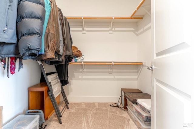 spacious closet featuring carpet