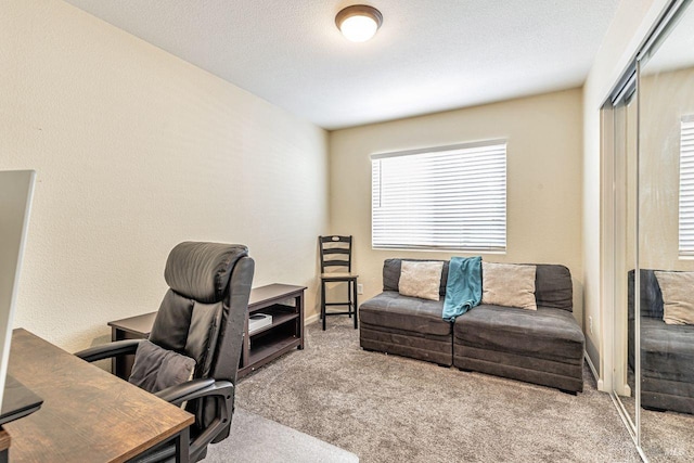 view of carpeted home office