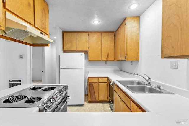 105 Virginia Ave Unit 2, Sebastopol, CA 95472 - kitchen with dishwasher, light countertops, light carpet, brown cabinets, and freestanding refrigerator
