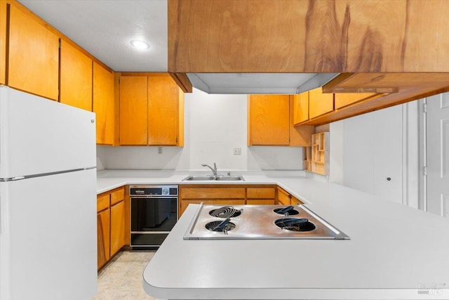105 Virginia Ave Unit 2, Sebastopol, CA 95472 - kitchen with freestanding refrigerator, oven, cooktop, a sink, and light countertops