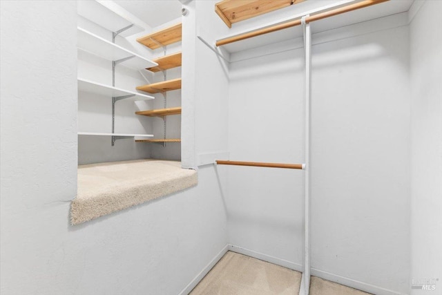 105 Virginia Ave Unit 2, Sebastopol, CA 95472 - walk in closet featuring light carpet