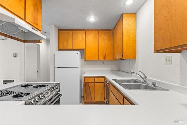 105 Virginia Ave Unit 2, Sebastopol, CA 95472 - kitchen with freestanding refrigerator, under cabinet range hood, electric stove, a sink, and recessed lighting
