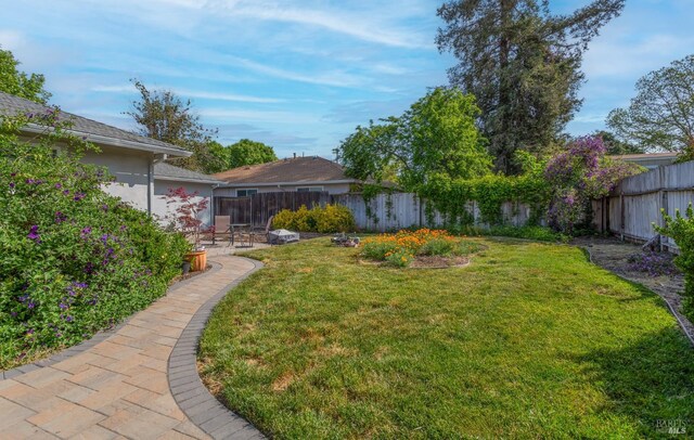 view of yard featuring a fenced backyard and a patio area